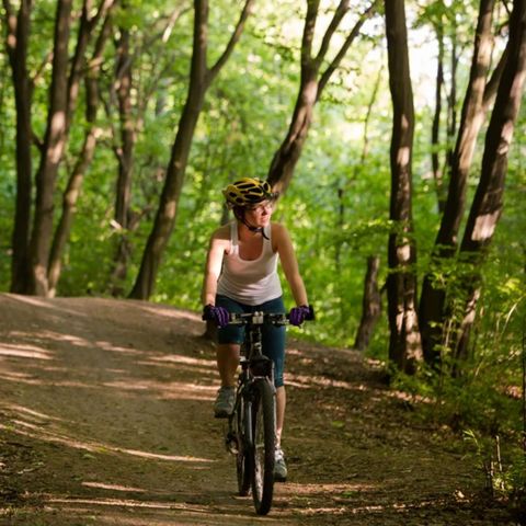 Dormio Hotel Der Seehof - Camping Rhénanie du Nord-Westphalie - Image N°6