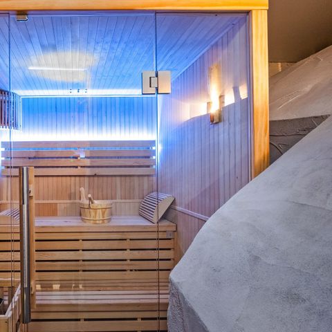 Chalet Odalys Duc Blanc  - Camping Savoie - Image N°2