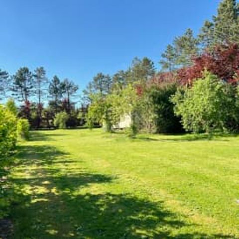 HÉBERGEMENT INSOLITE 2 personnes - Pine Tree Tiny Cottage