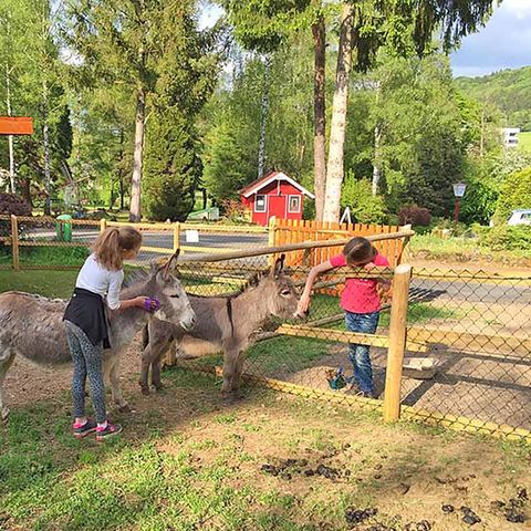 Bungalowpark Felsenhof - Camping Rhénanie-Palatinat - Image N°2