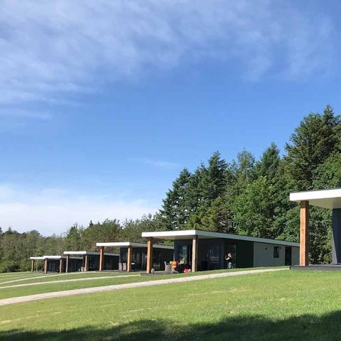 Bungalowpark Felsenhof - Camping Rhénanie-Palatinat - Image N°4