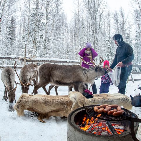 Valkeisen Loma - Camping Central Finland - Image N°3