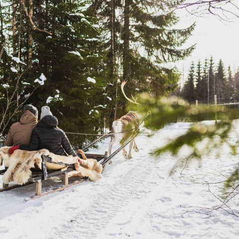 Valkeisen Loma - Camping Central Finland - Image N°2