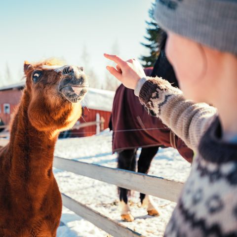 Valkeisen Loma - Camping Central Finland - Image N°5
