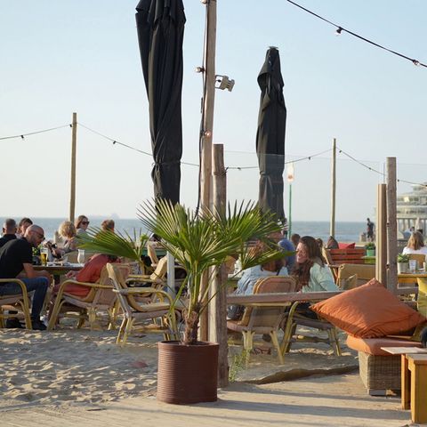 Landal Beach Villa's Hoek van Holland - Camping Rotterdam - Image N°4