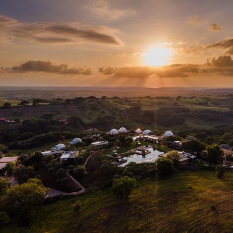 Wecamp Reserva Alecrim - Camping Alentejo - Portugal - Image N°4