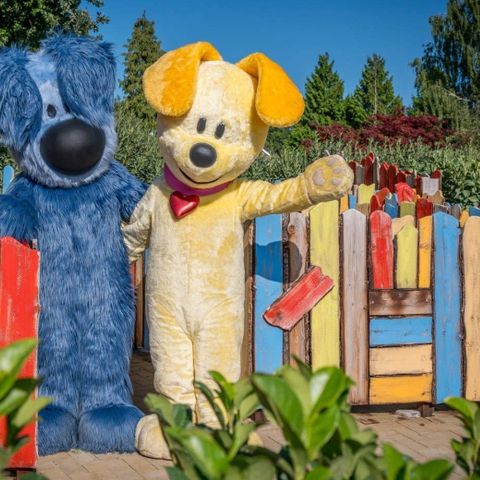 Familie Resort de Tovertuin - Camping Woensdrecht - Image N°2