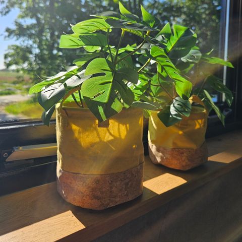 LODGE 3 personnes - Le Spjocht