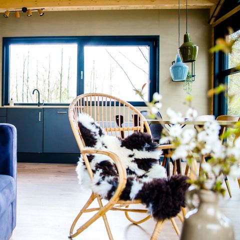 LODGE 8 personnes - Pavillon d'eau Skries