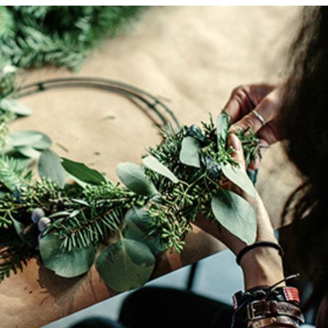 Thuysgrond - Camping Bergeijk - Image N°3