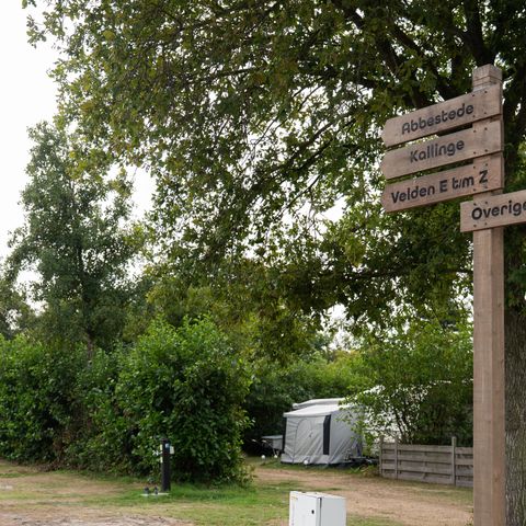 Vakantiepark de Nollen - Camping Schagen - Image N°6