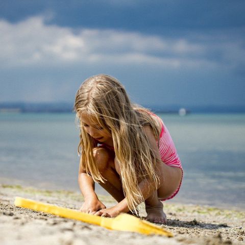 Duincamping de Lepelaar - Camping Schagen - Image N°2