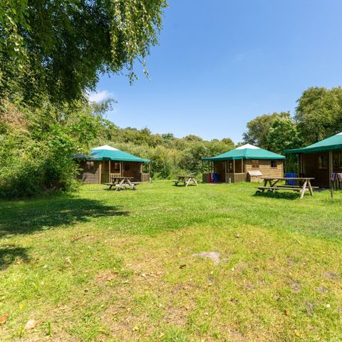 Bungalow 4 personnes - Bungalow de camping de luxe