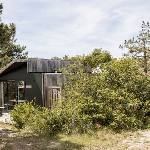 Bungalow 4 personnes - DuinHut Eco Dwergstern