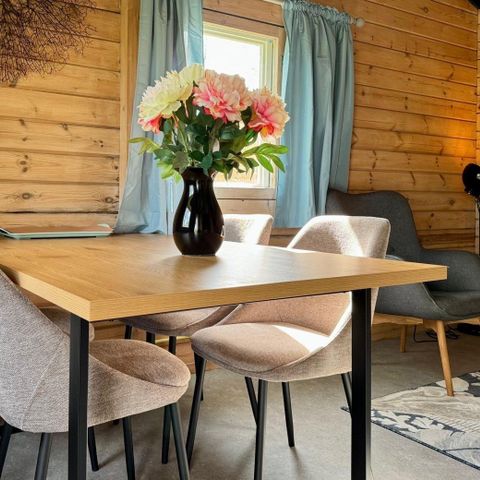 Bungalow 4 personnes - DuinHut Strandloper