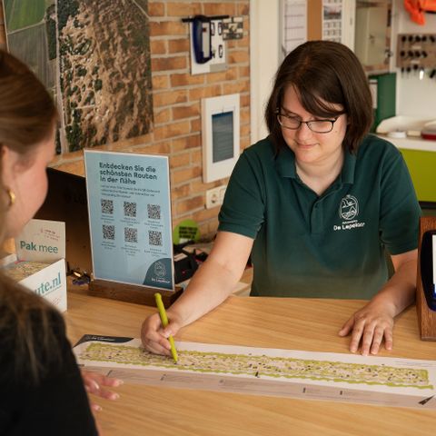 Duincamping de Lepelaar - Camping Schagen - Image N°6