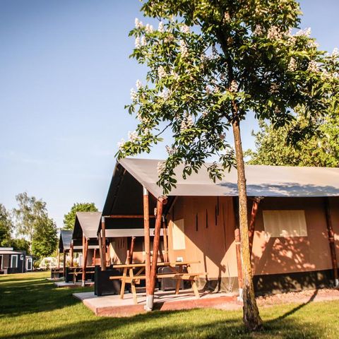 TENTE TOILE ET BOIS 5 personnes