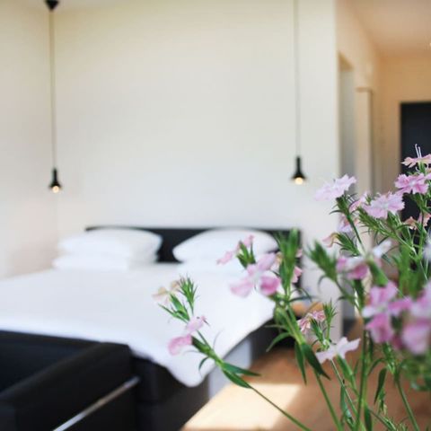 Tiny house 2 personnes - Cabane Geau