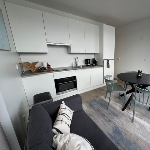 HÉBERGEMENT INSOLITE 4 personnes - Hébergement de luxe sur l'eau en Frise (41)