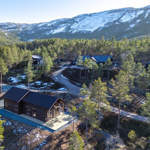 Fjord Rentals - Camping Telemark - Image N°3