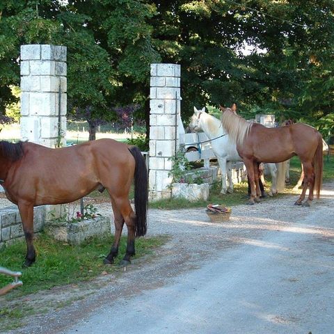 Camping Brantôme Far Ouest - Camping Dordogne - Image N°3