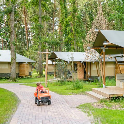 TENTE TOILE ET BOIS 6 personnes - Tongasoa Lodge