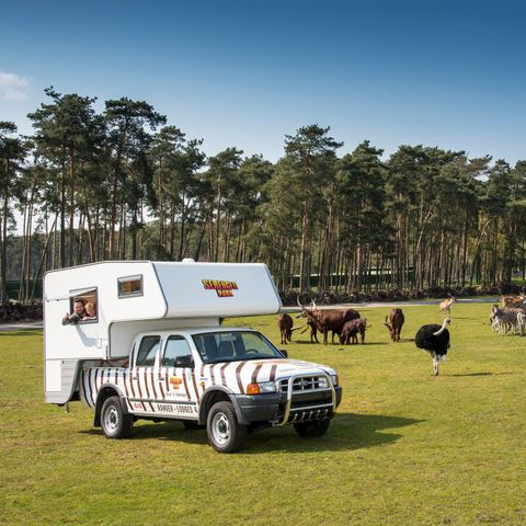 HÉBERGEMENT INSOLITE 4 personnes - Ranger