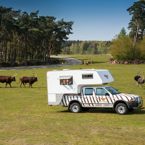 HÉBERGEMENT INSOLITE 4 personnes - Ranger