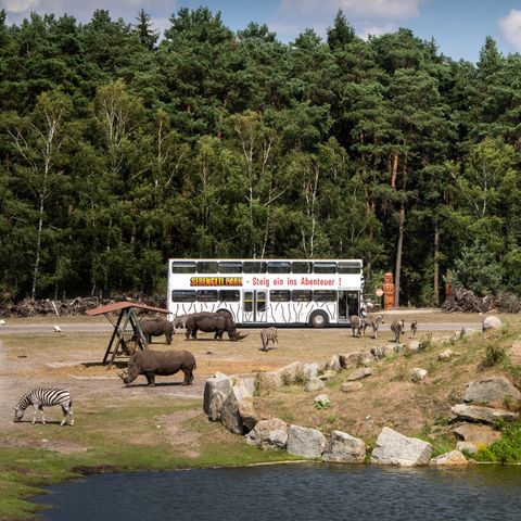 Serengeti Park - Camping Basse-saxe - Image N°4