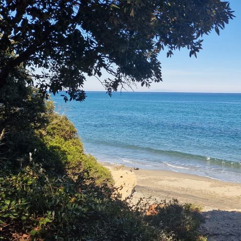 Camping Naturiste Calella - Camping Corse du Nord - Image N°2