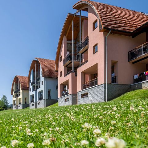 Landal Marina Lipno - Camping Bohême-du-Sud - Image N°4