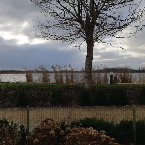 BUNGALOW 4 personnes - Willow Rose - Heron Avenue 202