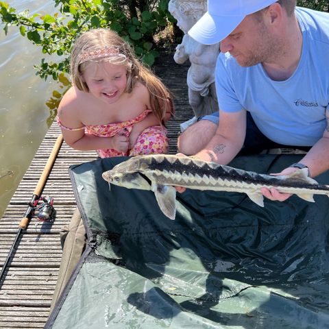 Vakantiepark De Groote Vliet - Camping Medemblik - Image N°5