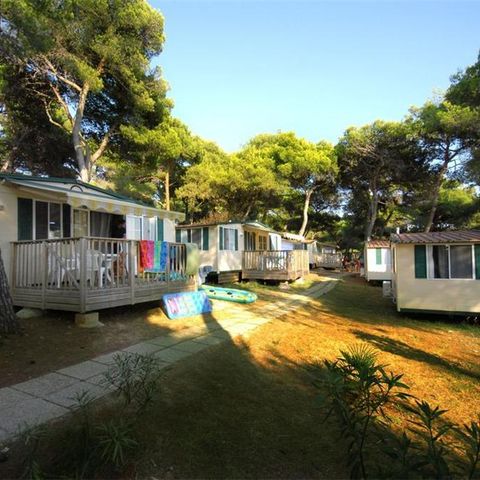 BUNGALOW 5 personnes - Park side