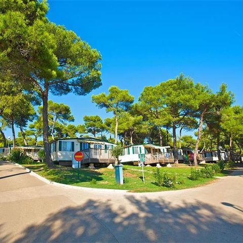 BUNGALOW 5 personnes - Park side