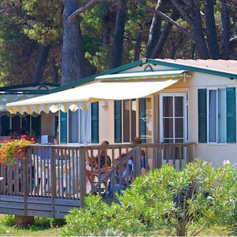 BUNGALOW 5 personnes - Park Side