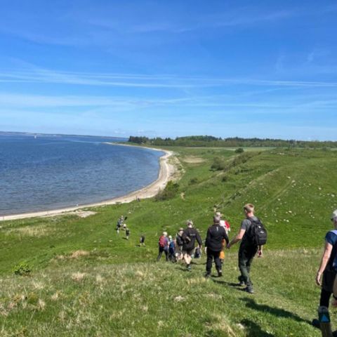 Vodatent Hvalpsund Familie Camping - Camping Sjaelland - Image N°3