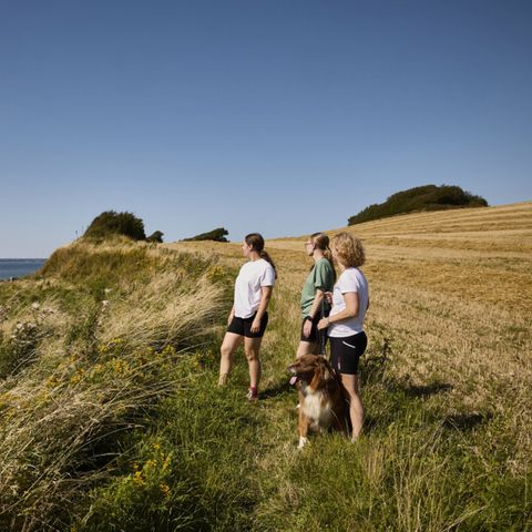 Vodatent Emmerbølle Strand Camping - Camping Danemark du Sud - Image N°4