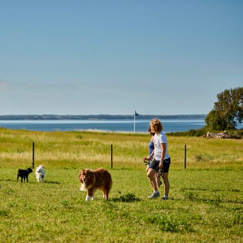 Vodatent Emmerbølle Strand Camping - Camping Danemark du Sud - Image N°3