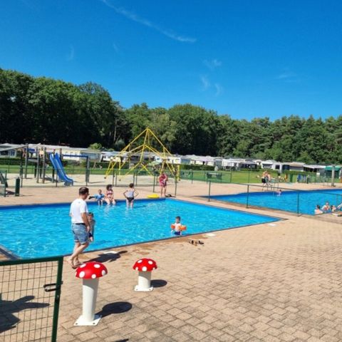 Vodatent Forest Resort Lanaken - Camping Limburg Belge - Image N°2