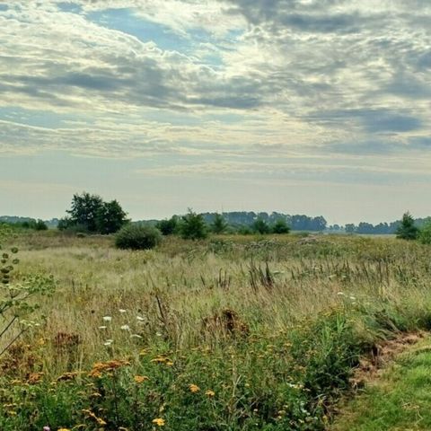 Vodatent Camping Hunze Bulten - Camping Aa en Hunze - Image N°5