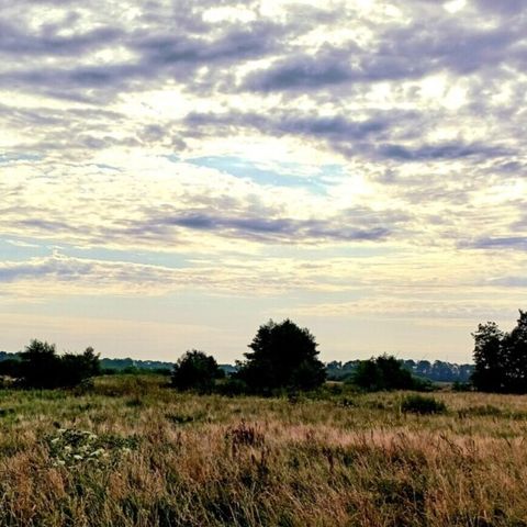 Vodatent Camping Hunze Bulten - Camping Aa en Hunze - Image N°4