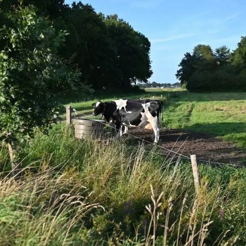 Vodatent Camping Hunze Bulten - Camping Aa en Hunze - Image N°6