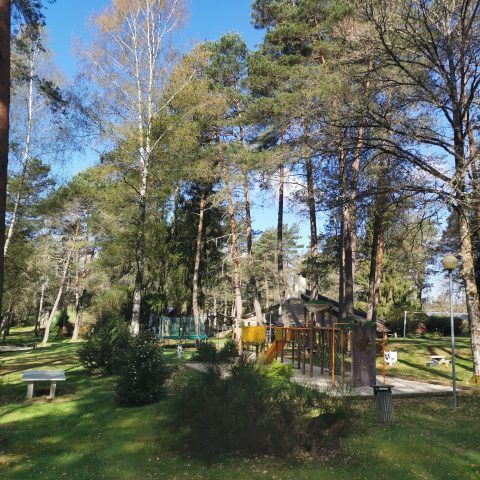 Camping Les Sapins de Corrèze - Camping Corrèze - Image N°4