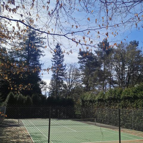 Camping Les Sapins de Corrèze - Camping Corrèze - Image N°5