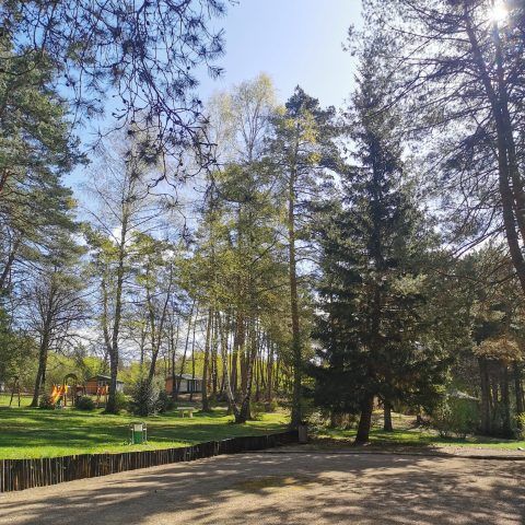 Camping Les Sapins de Corrèze - Camping Corrèze - Image N°3