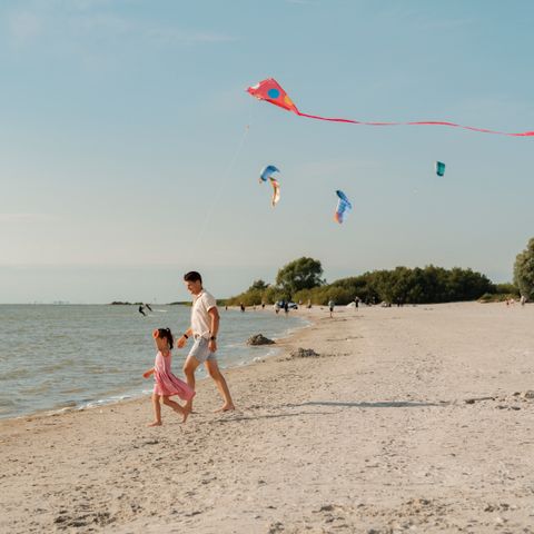 MarinaPark Beach Resort Soal - Camping Südwest-Friesland - Image N°3