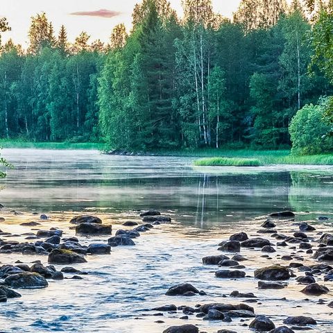 Vaikko Riverside Resort - Camping North Karelia - Image N°3