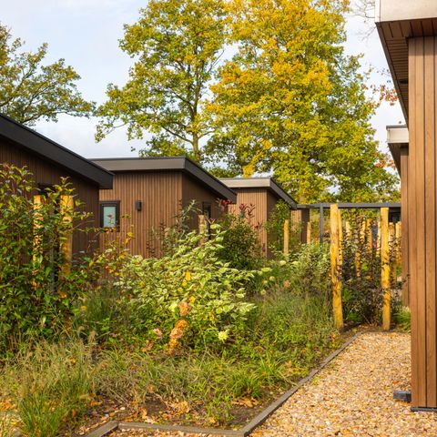 CHALET 6 personnes - Renshorst