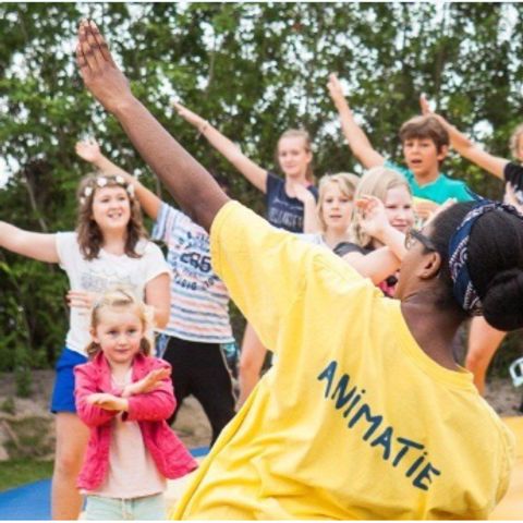 Kustpark Nieuwpoort - Camping Flandre Occidentale - Image N°6